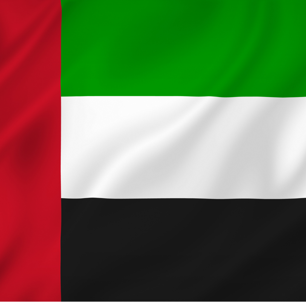 UAE fellowship program